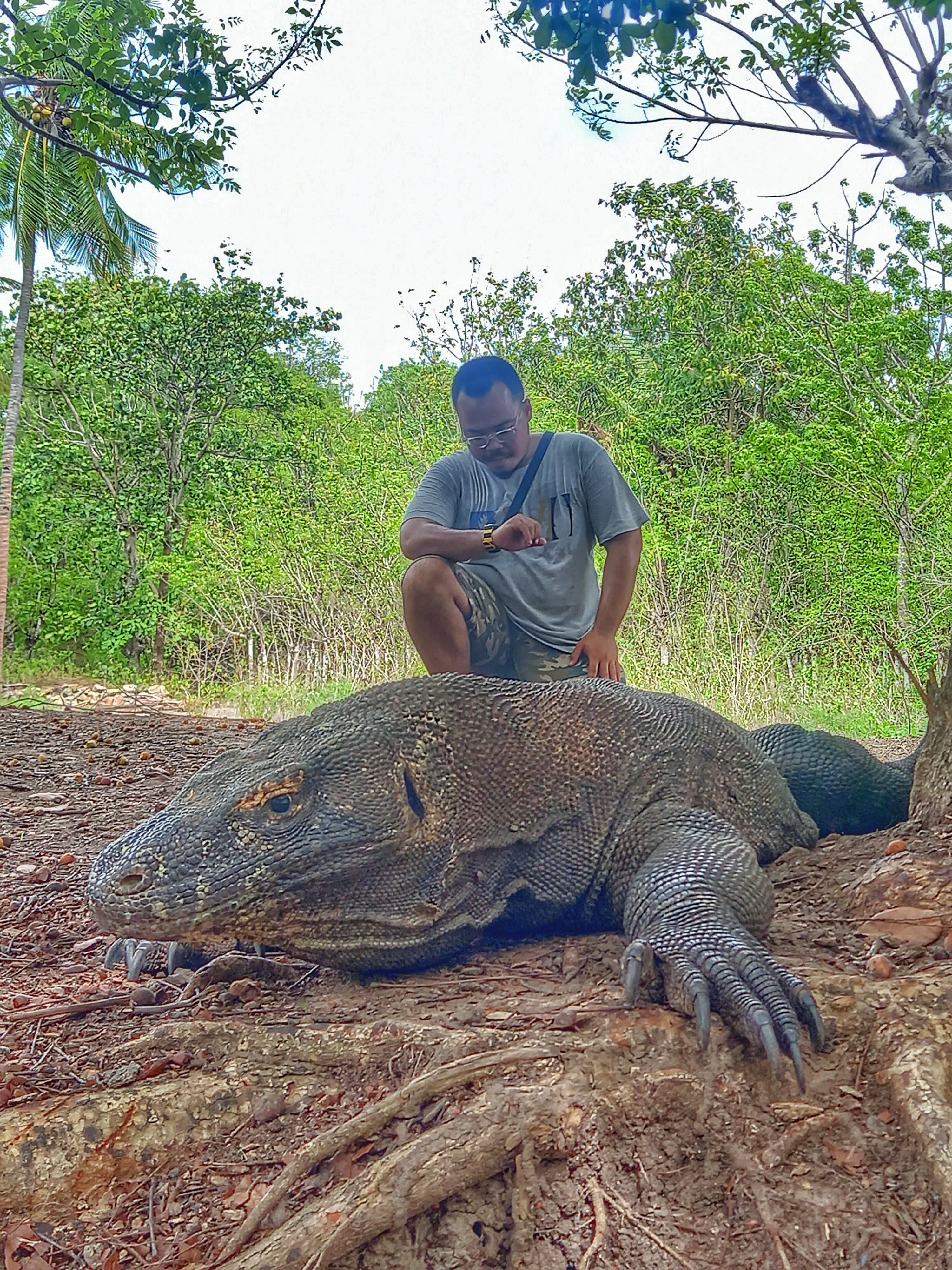 Jelajah Pulau Komodo: Panduan Lengkap Buat Anak Muda Kekinian!