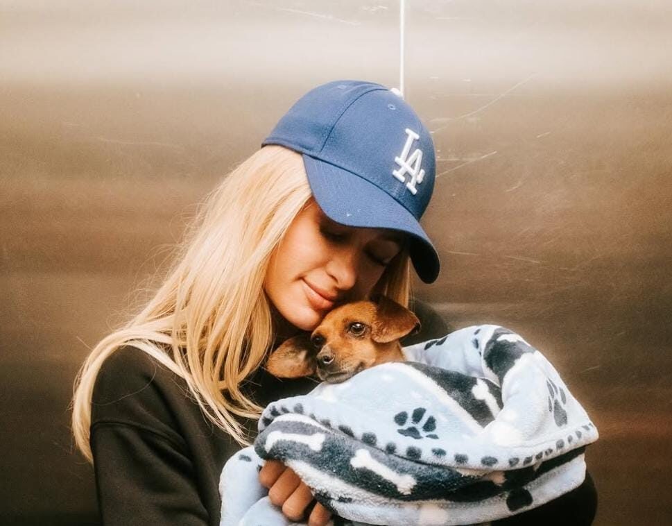 Rumah Terbakar, Paris Hilton Galang Dana $800.000 untuk untuk Ratusan Keluarga Korban Kebakaran