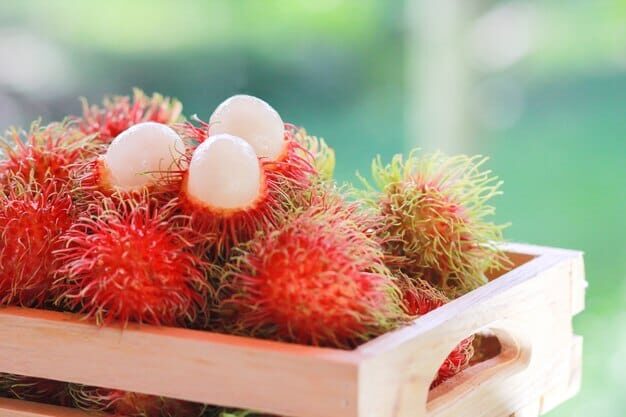 Batuk Setelah Makan Rambutan? Simak Penyebab dan Cara Mencegahnya!