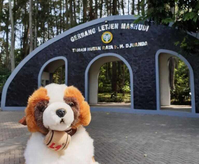 Staycation di Pelukan Alam, Nikmati Paket Stay & Forest di Swiss-Belresort Dago Heritage