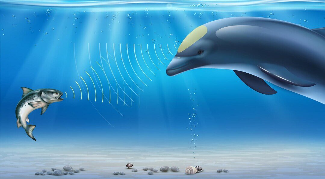 Google Ciptakan DolphinGemma, AI Canggih yang Bisa Terjemahin Suara Lumba-Lumba!