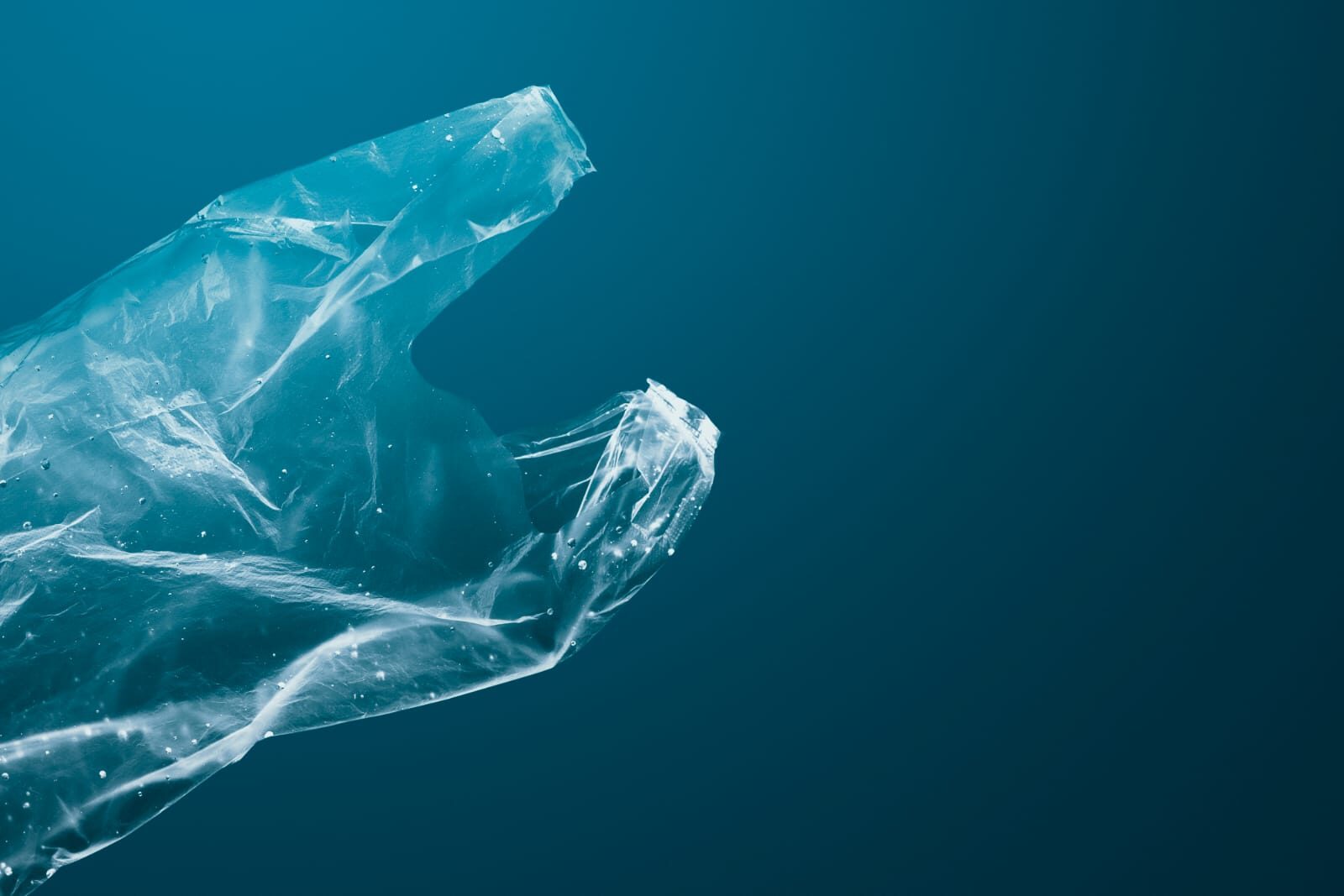 Plastik Ramah Lingkungan dari Jepang: Larut di Laut dalam Hitungan Jam, Menyuburkan Tanah!