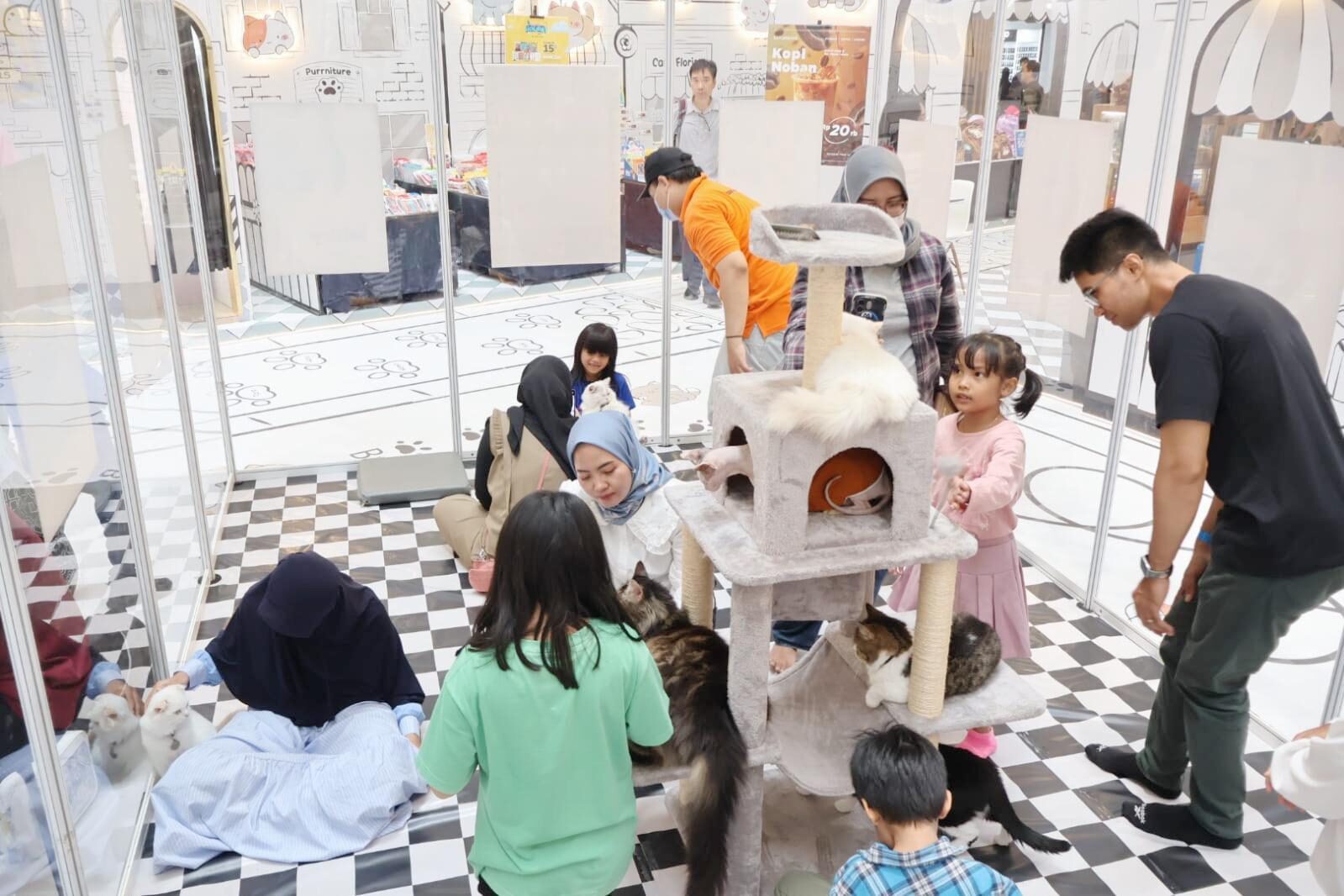 Liburan Sekolah Seru Bareng Kucing Gemes di HARU VILLAGE, Mal Ciputra Jakarta!