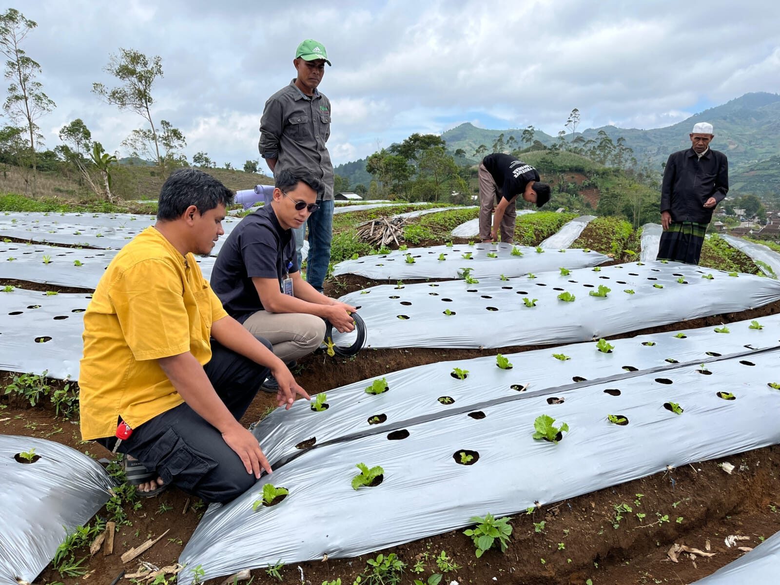 PERURI Terapkan Teknologi Smart Farming dan Internet of Things (IoT) untuk Dongkrak Produktivitas Petani di Garut