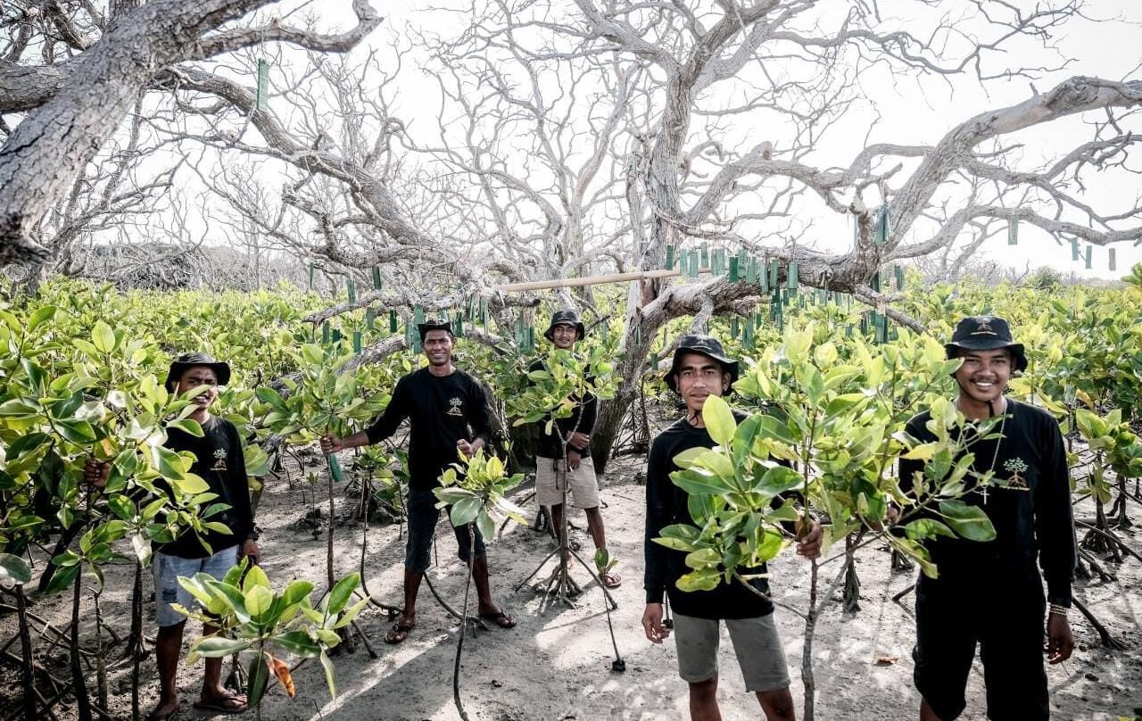 Kemenpar Dorong Transisi Hijau Lewat Kajian "Tourism Snapshot" Terbaru