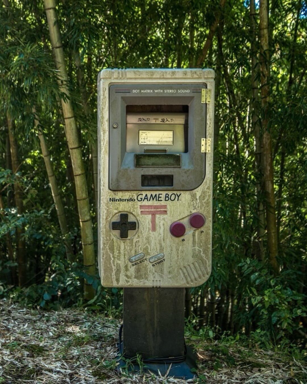 Game Boy Mailbox di Hutan Jepang! Misteri Retro yang Bikin Nintendo Fans Terkesima
