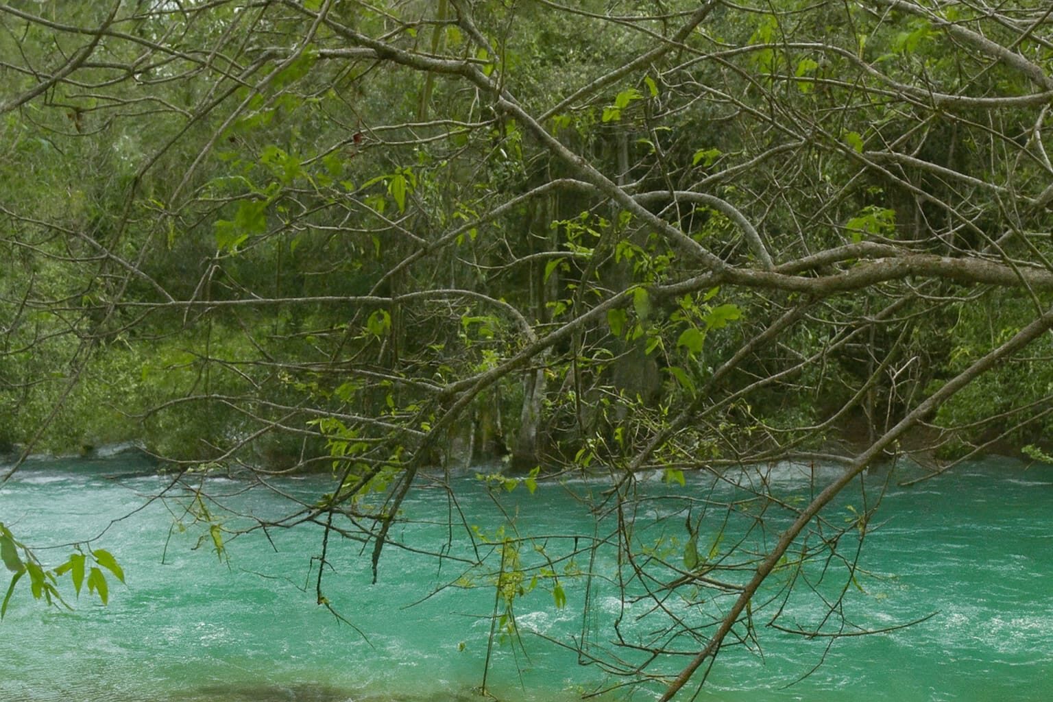 Fenomena Langka di Sumatera Barat: Sungai Ombilin Mendadak Biru Jernih Seperti Swiss, Warga Terpukau
