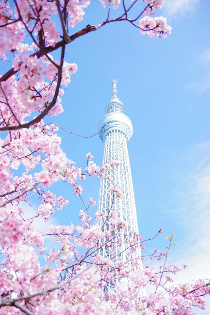Sumida City, Tokyo, Jepang. (Foto: Yuri Yuhara/Pexels)