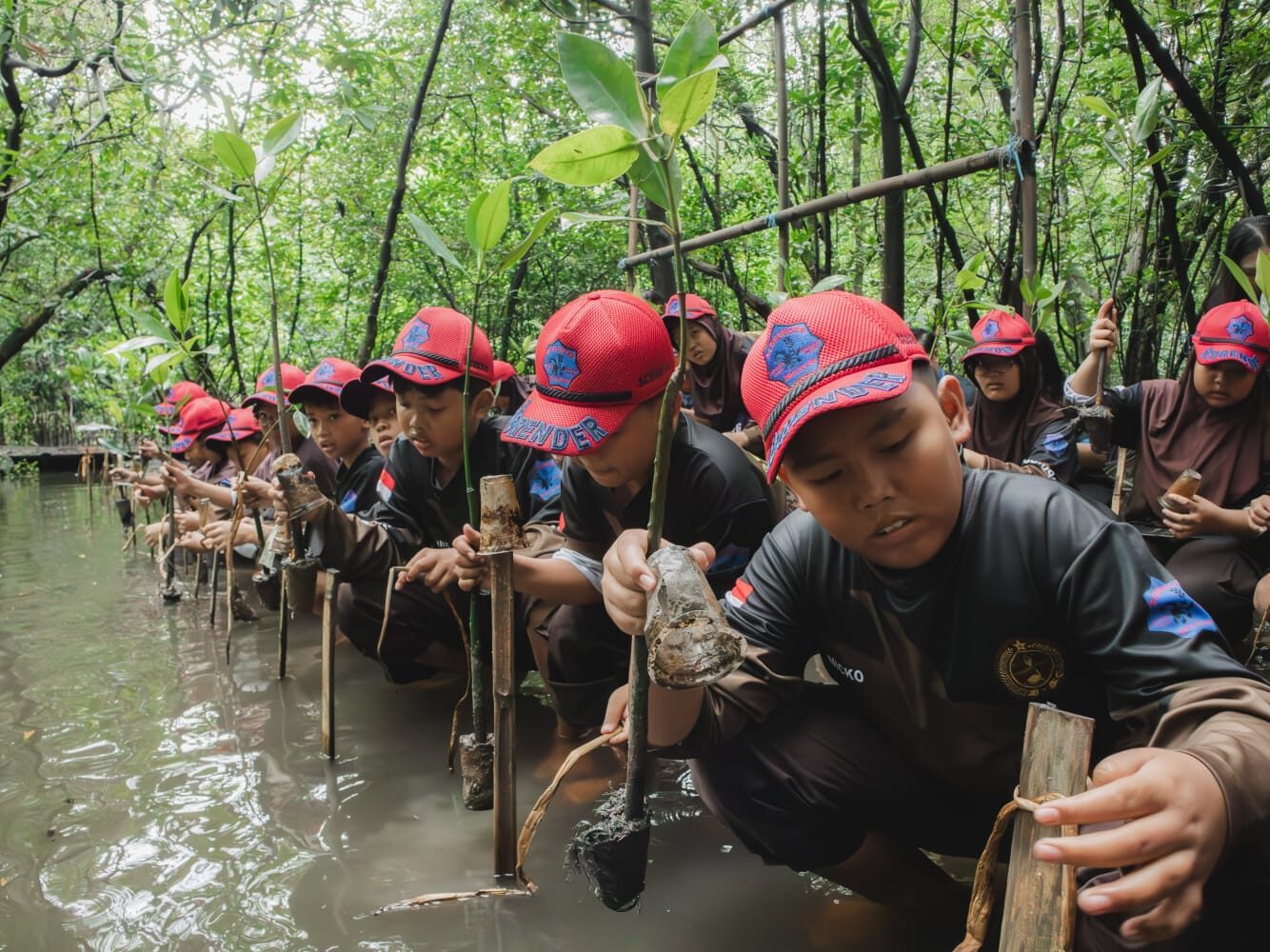 HARRIS Puri Mansion dan Oakwood PIK Tanam Mangrove Bareng Siswa SD, Edukasi Lingkungan Sejak Dini di Pesisir Jakarta