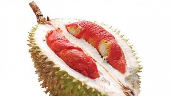 Langka dan Bernilai Tinggi, Durian Merah Banyuwangi Jadi Durian Pertama di Indonesia yang Dilindungi