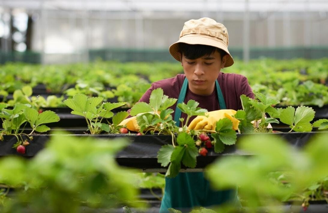 Makin Dilirik Jepang, Pekerja Jawa Timur Jadi Tulang Punggung Ekonomi Jumlahnya Capai 4.000 Orang