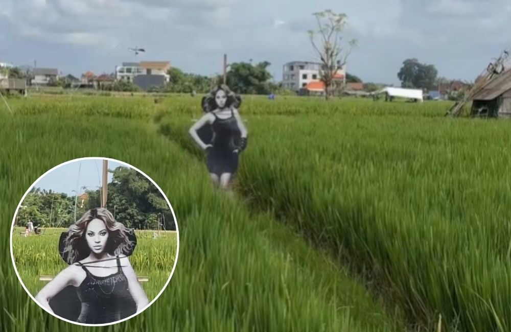 Orang-Orangan Sawah Rasa Pop Star! Petani Bali Bikin Scarecrow Unik Pakai Wajah Beyoncé