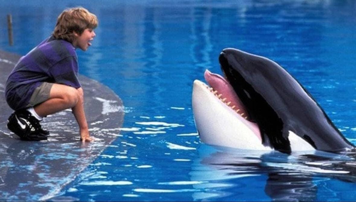 Nostalgia 90-an Kembali, Warner Bros. Garap Ulang Film Legendaris Free Willy Gandeng Anthony dan Joe Russo