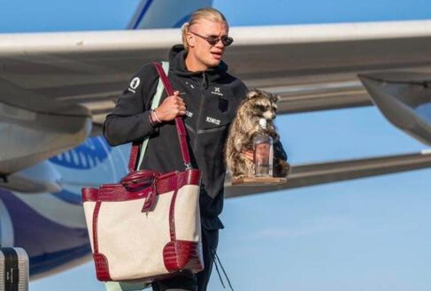 Erling Haaland Pulang ke Norwegia Bawa Patung Rakun Unik, Disambut 90 Ribu Suporter