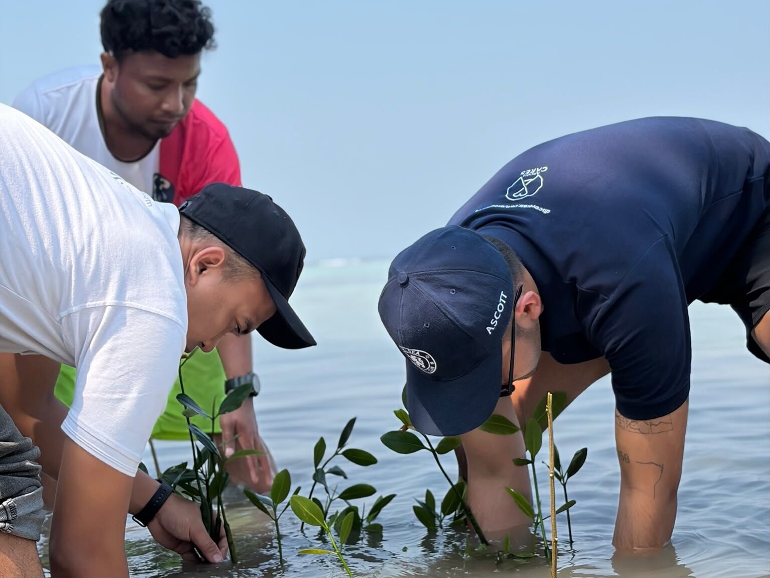 Somerset Berlian Jakarta Tanam 2.000 Mangrove di Kepulauan Seribu, Wujud Nyata Rayakan World Mangrove Day 2026