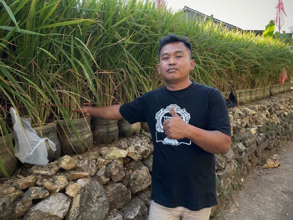 Tidak Punya Sawah? Tapi Mau Panen Padi, Ini Kisah Susanto Warga Gunungkidul