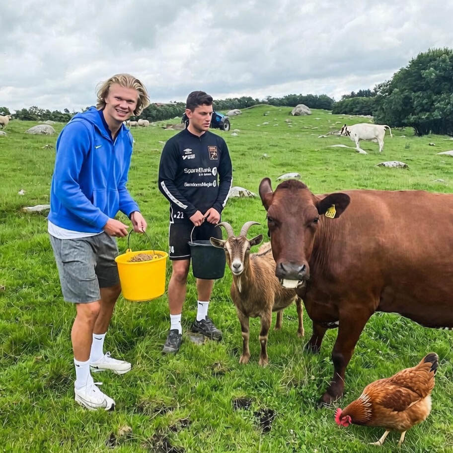 Pelatih Sepak Bola atau Pengusaha, Bukan... Erling Haaland Punya Mimpi Pensiun Jadi Petani!