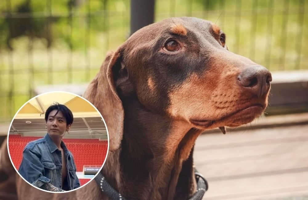 Instagram Bam, Anjing Jungkook, Tembus 8 Juta Followers dan Malah Lewati Akun Grammy