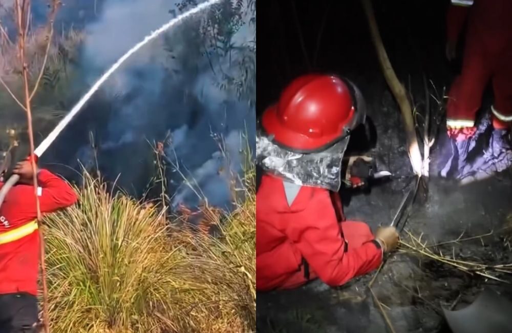 Karhutla Bromo Meluas, 176 Hektare TNBTS Terbakar: Gunung Bromo Ditutup Total Mulai 8 Agustus