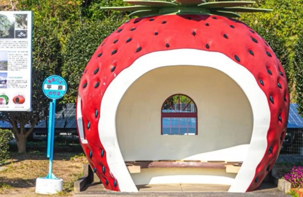 16 Halte Bus Berbentuk Buah di Nagasaki, Otomatis Masuk Wishlist Wisata!