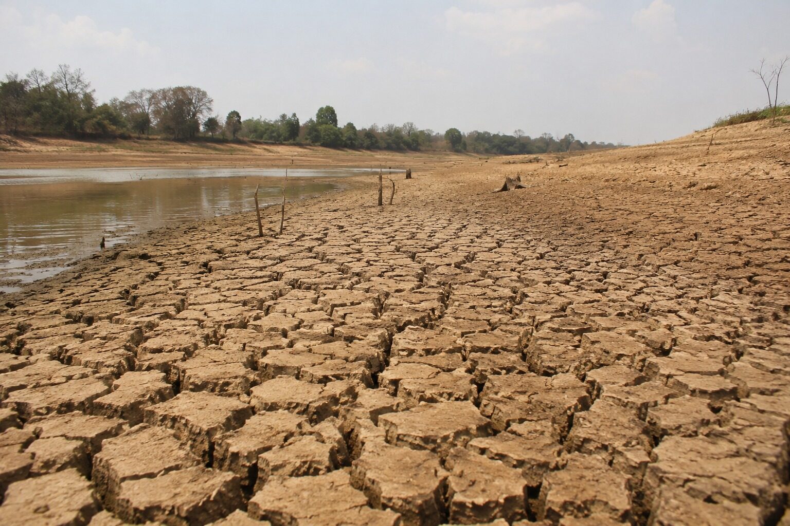 Super El Nino 2026 Disebut Bisa Jadi yang Terkuat dalam 1.000 Tahun, Indonesia Bersiap Hadapi Kemarau Lebih Kering