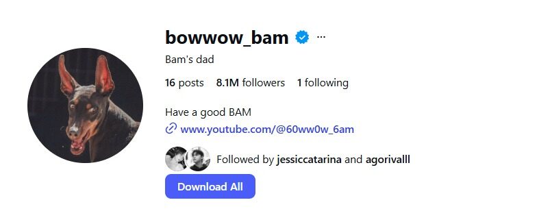 Bam, anjing kesayangan Jungkook BTS - sumber foto Istagram/bowwow_bam