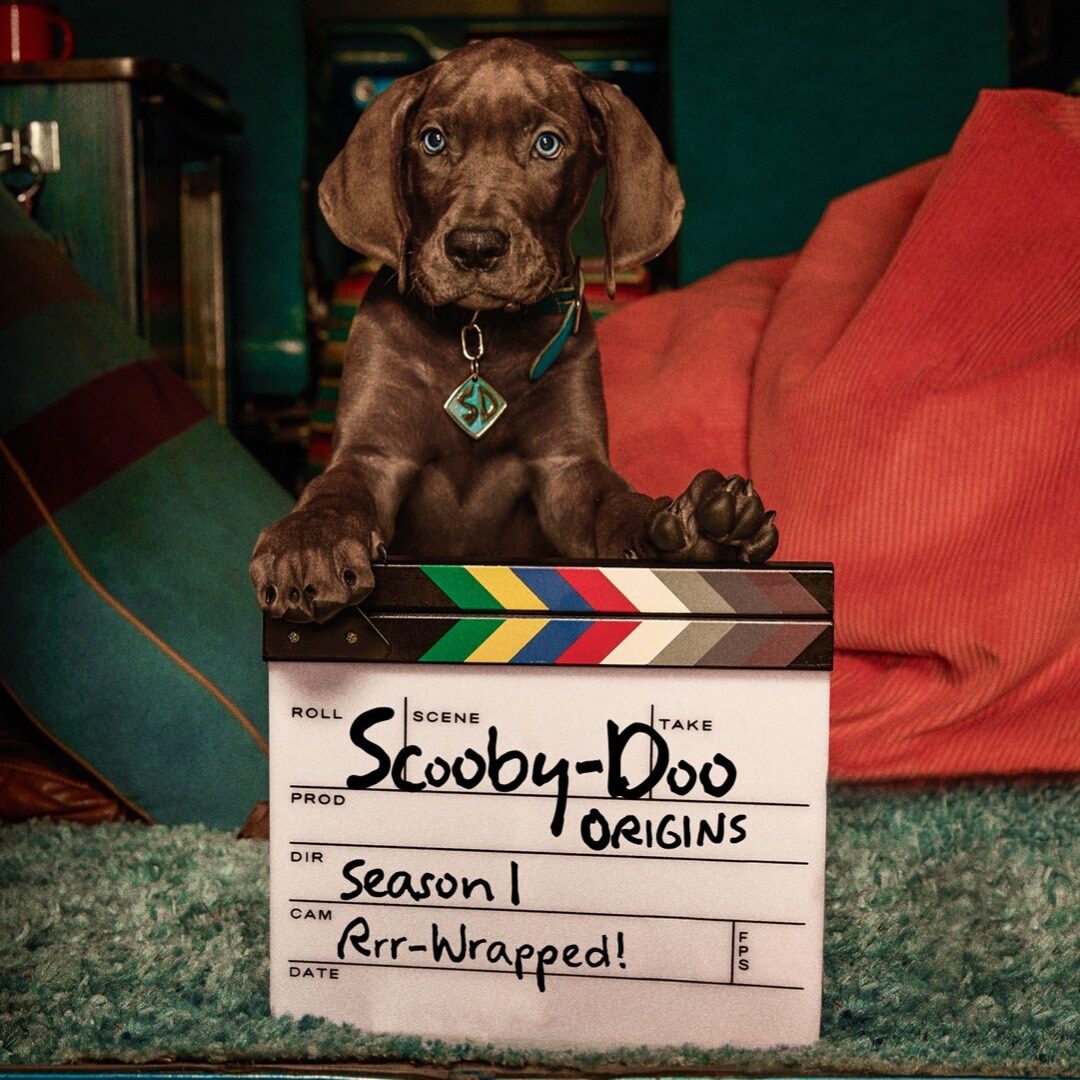 Scooby-Doo Live Action Resmi Rampung Syuting, Siap Tayang di Netflix 2027