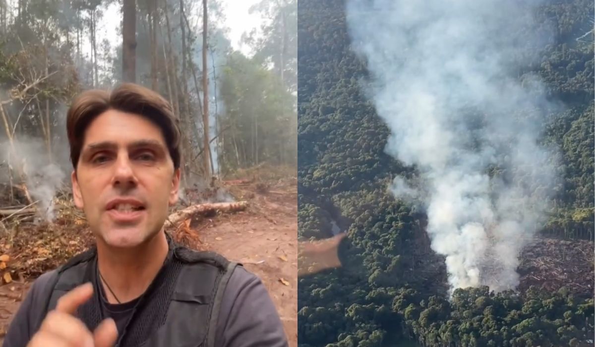 Chanee Kalaweit Ingatkan Sekat Bakar Jangan Jadi Jalan Baru Pembukaan Hutan