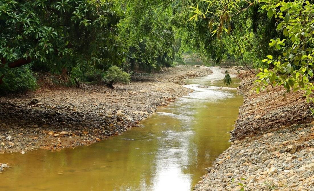 Kekeringan Melanda Sungai Ciliwung, Cipamingkis, dan Ciherang, Warga Jabodetabek Terancam Kekurangan Air