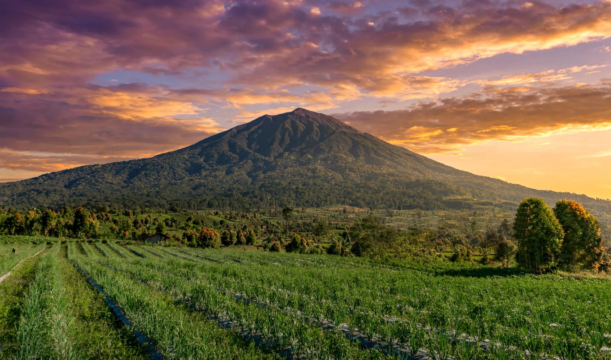 Gunung Kerinci Bukan Sekadar Soal Puncak, Ini Alasan Atap Sumatra Wajib Masuk Bucket List
