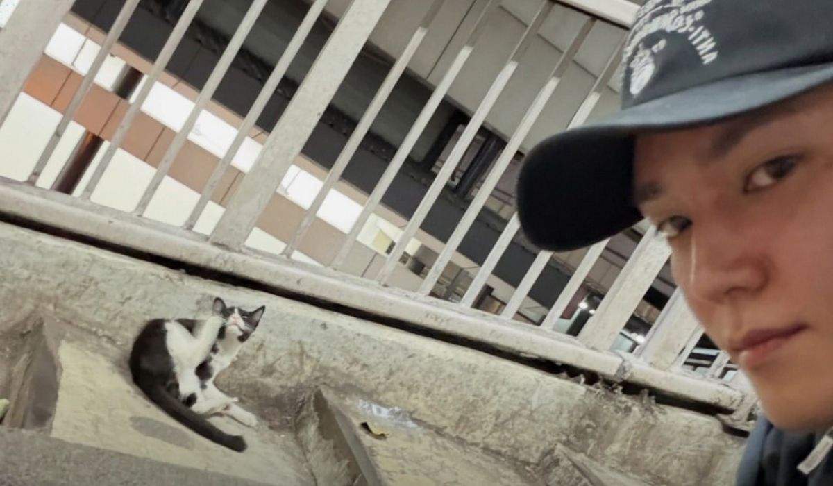 Bukan Oyen! Kucing Hitam-Putih di JPO Ini Mendadak Dicari NCTzen Gara-Gara Taeyong